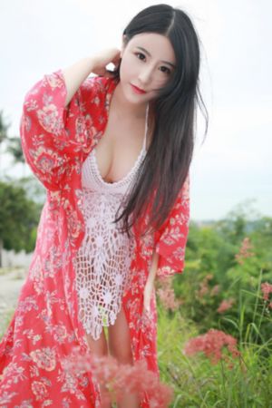 《精武门》电视剧_HD免费观看超清